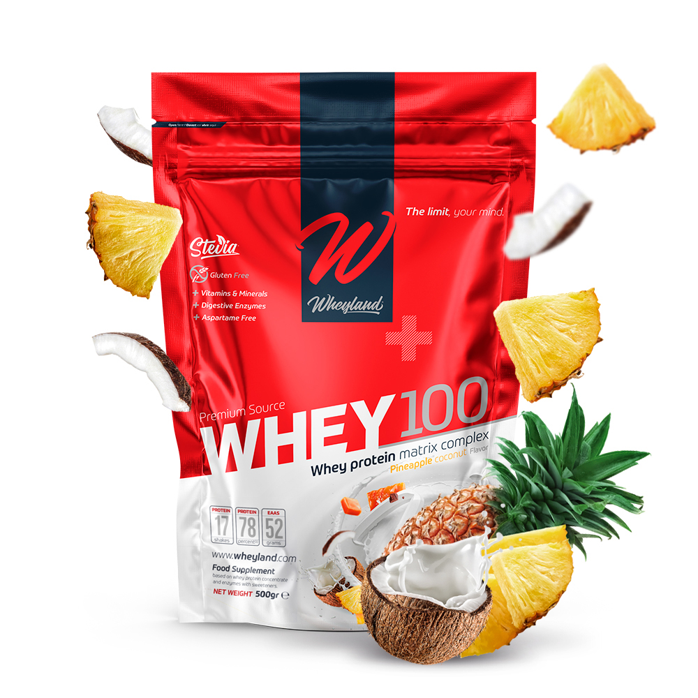 Whey 100 500g