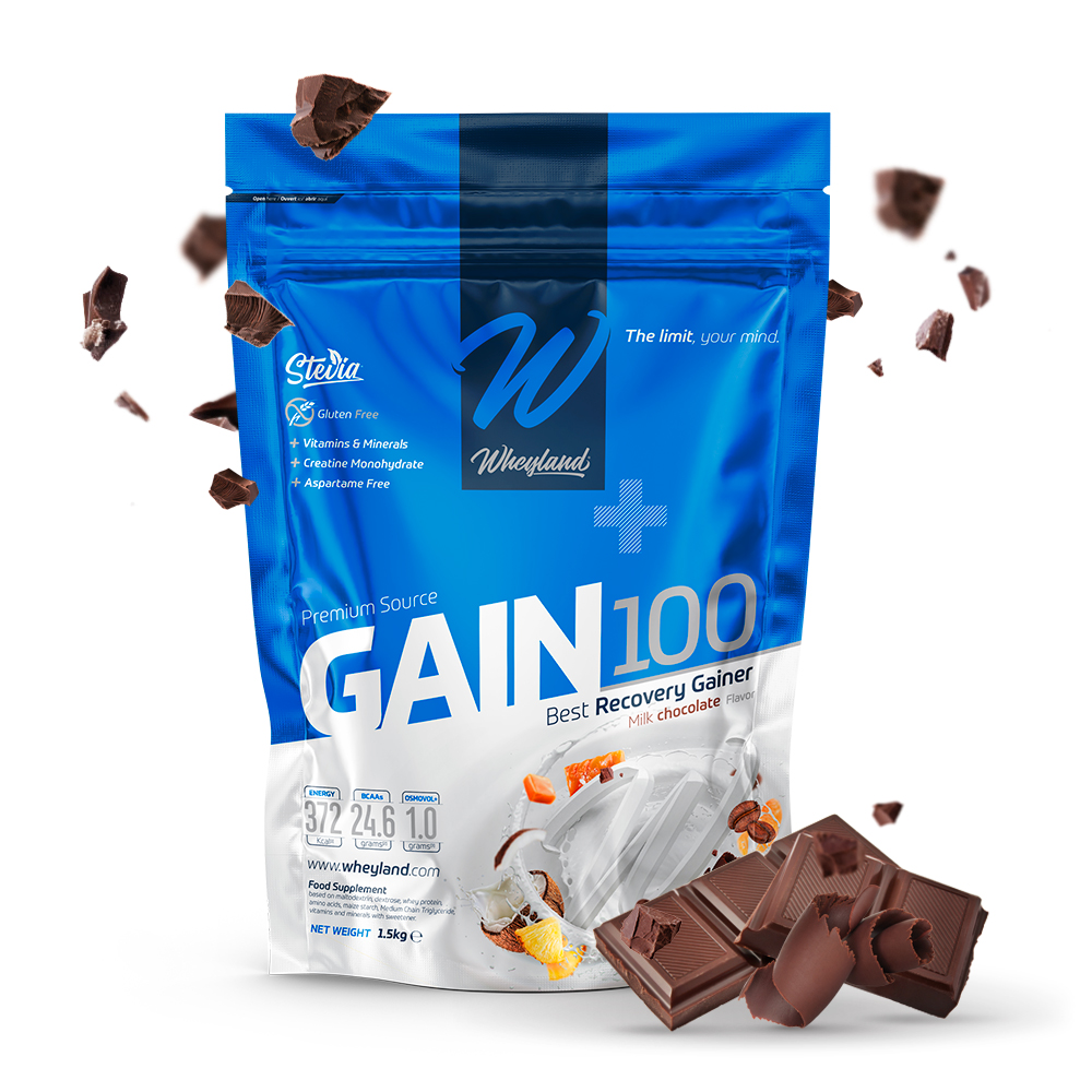 GAIN 100 1500g